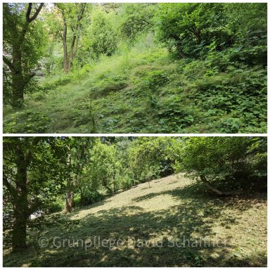 Grünpflege an einem Steilhang als Mulcharbeit