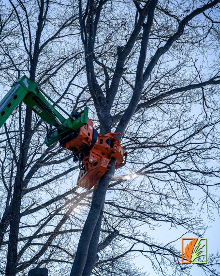 Heckenschnitt Käbschütztal Meissen Klipphausen Reinsberg Halsbrücke Freiberg Brand-Erbisdorf Wilsdruff Tharandt Freital Dresden 