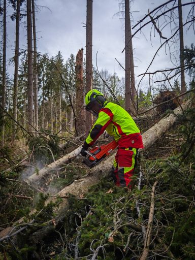 Aufarbeitung von Stammholz für den Kaminholzverkauf