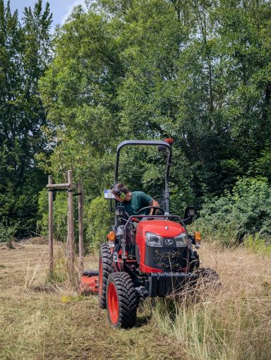 Gehölzpflege von Obstbäumen