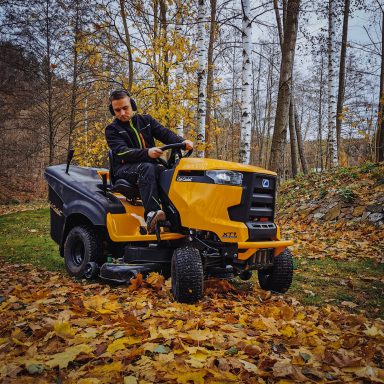 Kaminholz Brennholz Brennholzverkauf Gießarbeiten Bewässerung Hackschnitzel Dienstleistungen Immobilienservice Chemnitz Mittelsachsen