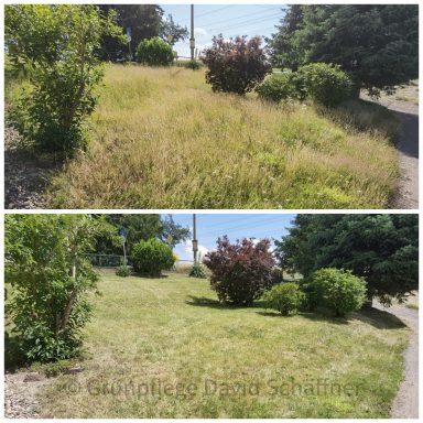 Grundstück und Objektpflege mit Mäharbeiten und Heckenschnitt