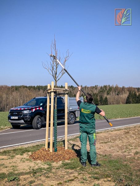 Forstraupe Striegistal Rossau Hainichen Mittweida Frankenberg Kriebstein Großschirma Nossen Rosswein Oederan Oberschöna