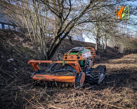 Solarparkmahd Striegistal Rossau Hainichen Mittweida Frankenberg Kriebstein Großschirma Nossen Rosswein Oederan Oberschöna