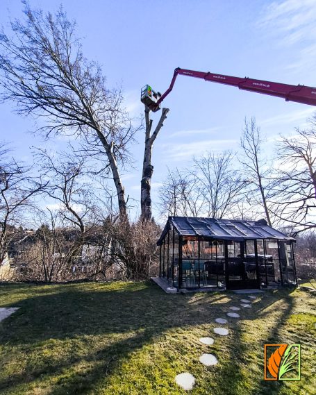 Spezialbaumfällung Striegistal Rossau Hainichen Mittweida Frankenberg Kriebstein Großschirma Nossen Rosswein Oederan Oberschöna