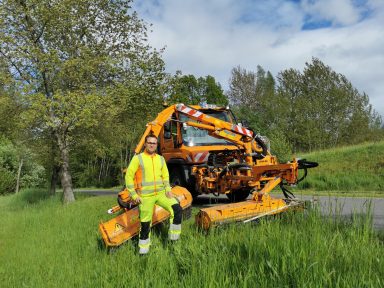 Grünflächenmad und Grundstückspflege