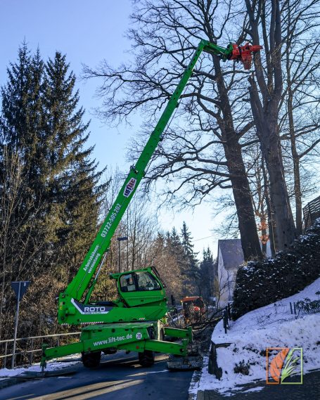 Gehölzpflege Striegistal Rossau Hainichen Mittweida Frankenberg Kriebstein Großschirma Nossen Rosswein Oederan Oberschöna
