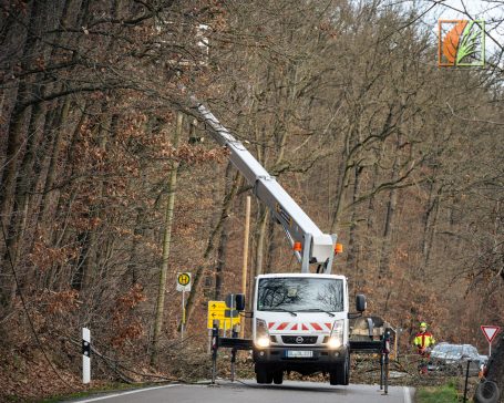 Objektpflege Käbschütztal Meissen Klipphausen Reinsberg Halsbrücke Freiberg Brand-Erbisdorf Wilsdruff Tharandt Freital Dresden 