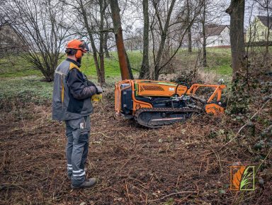 Landschaftspflege mit ferngesteuerter Mähraupe und Mulcher