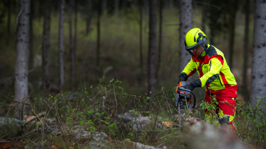 Mulchraupe Lichtenau Altmittweida Erlau Geringswalde Waldheim Hartha Leisnig Döbeln Großweitzschen Ostrau Jahnatal
