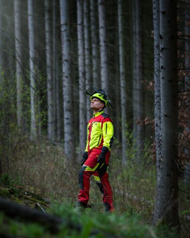 Brennholzgewinnung im Forst durch einen Waldarbeiter