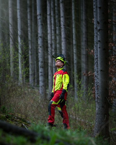 Mulcharbeiten Lichtenau Altmittweida Erlau Geringswalde Waldheim Hartha Leisnig Döbeln Großweitzschen Ostrau Jahnatal