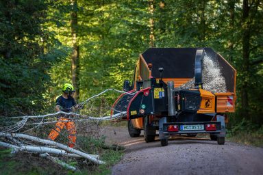 Häckselarbeiten von Astholz und Baumstämmen zu Hackschnitzel