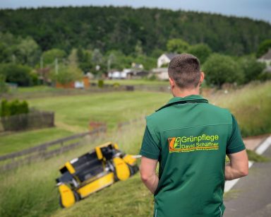 Grasmahd zur Landschaftspflege mit Mähraupe und Rasenmäher