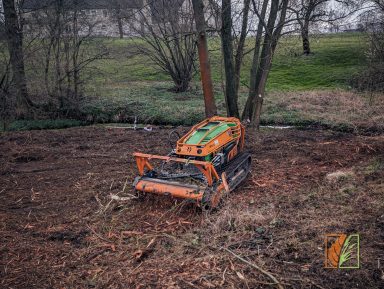Mulcharbeiten mit einer Forstraupe und Forstmulcher von Wildwuchs