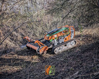 Mulchmahd von Gestrüpp mit Mulchraupe 