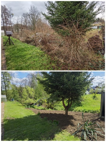 Gartenbau Grundstücksplege