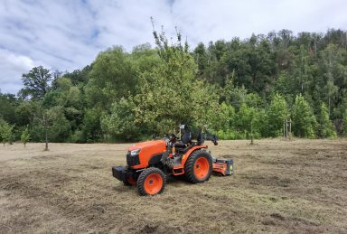 Pflege und Grasmahd auf Streuobstwiesen