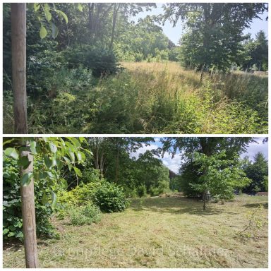 Grünanlagenpflege durch Mulchmahd von Freiflächen zum Naturschutz