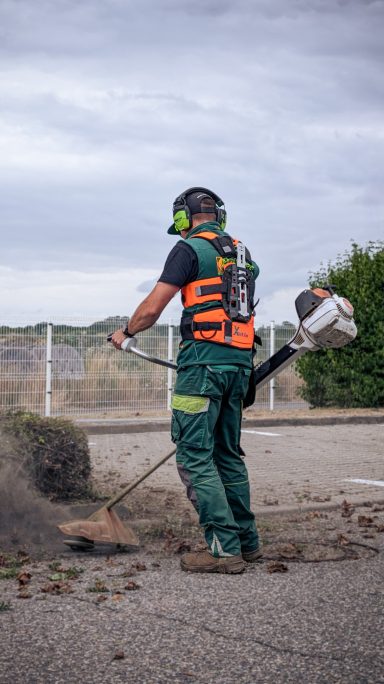 Mulchmahd und Wildkrautbeseitigung durch Freischneider