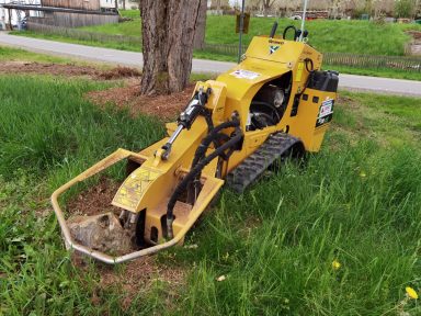 Baumfällung und Gehölzpflege 