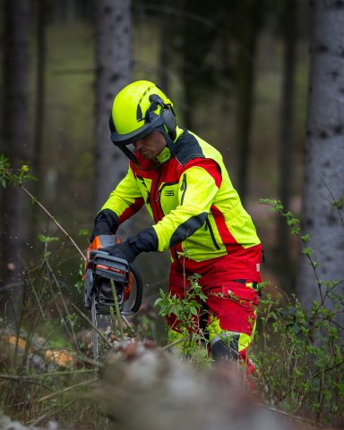 Forstarbeiten in einem Wald des Forstes zu Brennholz